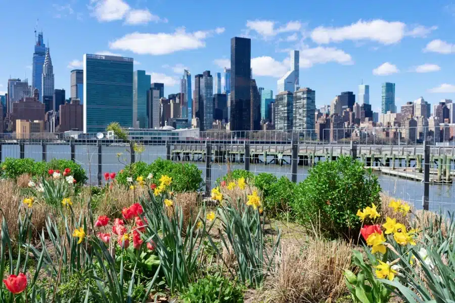 Gantry Plaza State Park, Queens New York