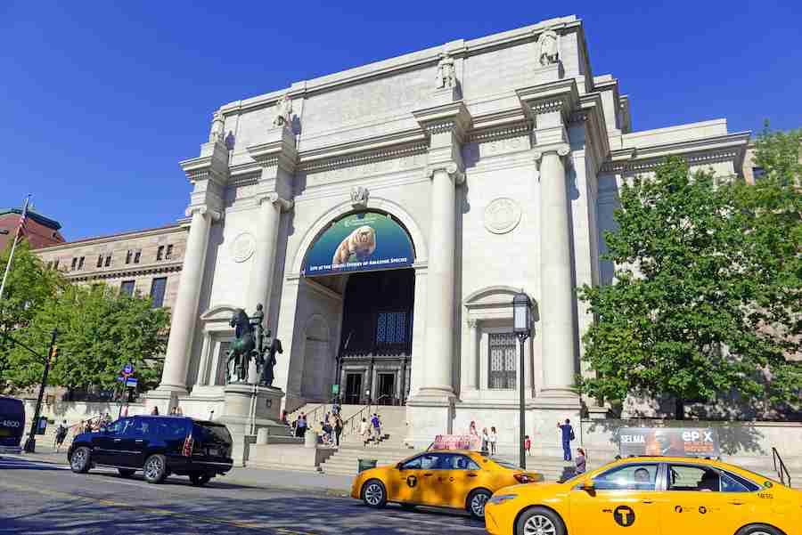 Il Museo di Storia Naturale si trova nell'Upper West Side