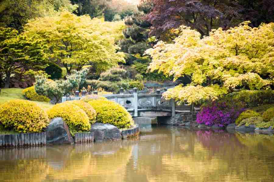 Il giardino giapponese al Brooklyn Botanical Garden