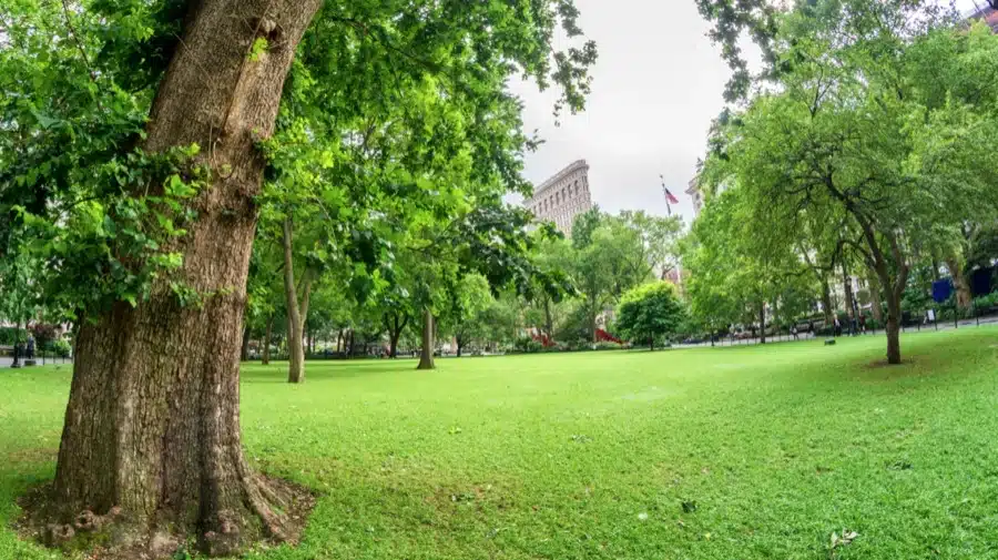 Il Madison Square Park e sullo sfondo si vede il Flatiron Building