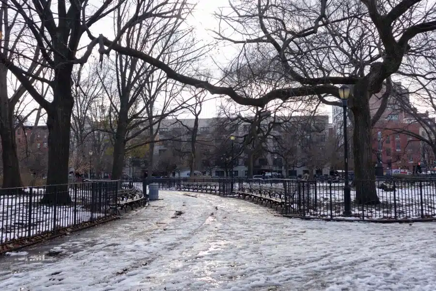 Tompkins Square Park con la neve