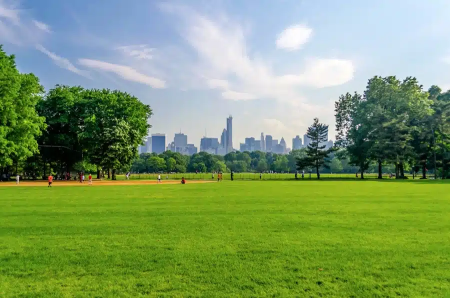 Central Park, New York