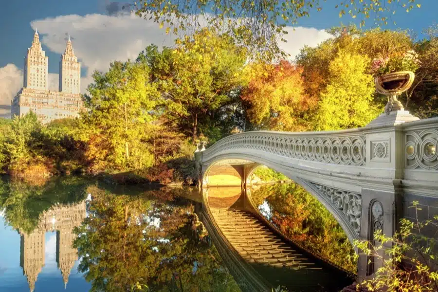 Fare un picnic a Central Park è una delle attività imperdibili e uniche a New York