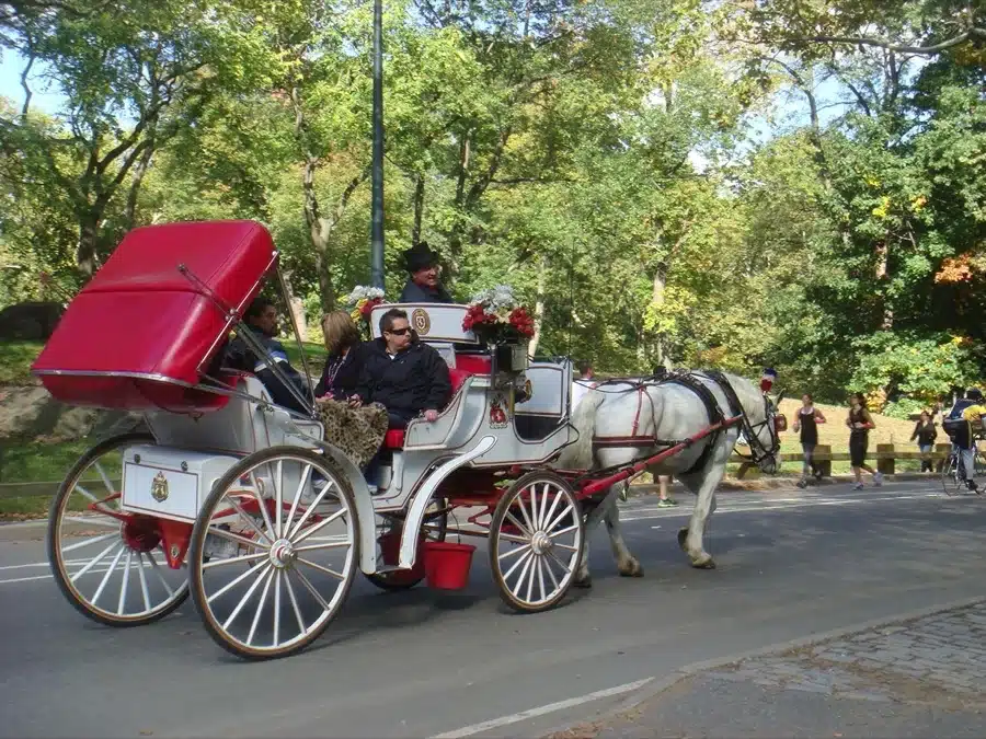 Fare un giro in carrozza a Central Park è un'altra delle attività romantiche da fare a New York