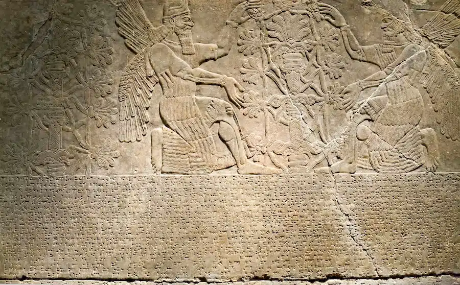 Rilievo del periodo neo-assiro del regno di Ashur-Nasir-Pal II al Brooklyn Museum.