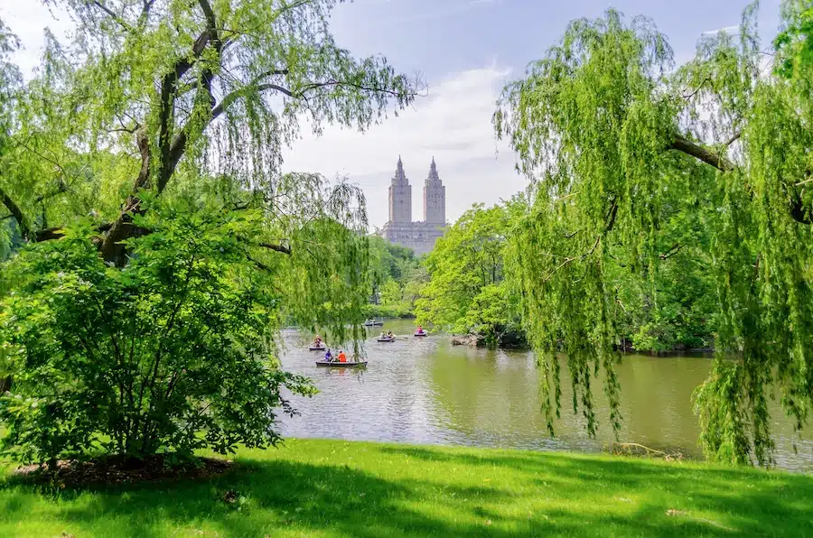 Top 10 cosa vedere a New York