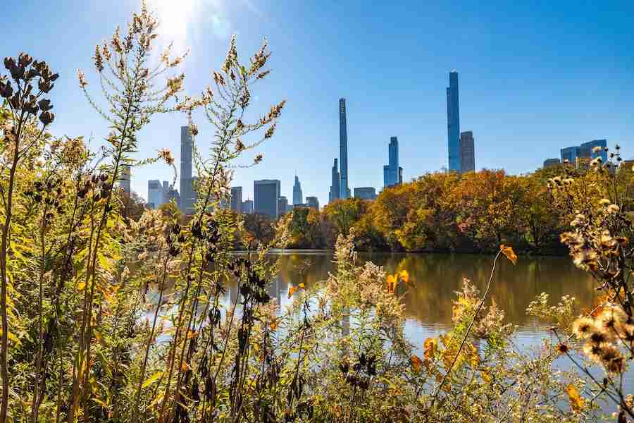 La giornata a Central Park sarà uno dei ricordi più belli del tuo viaggio a New York ed è gratis