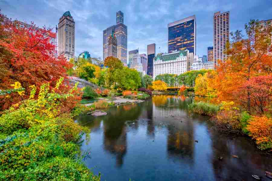 Central Park: 10 cose da vedere assolutamente a New York