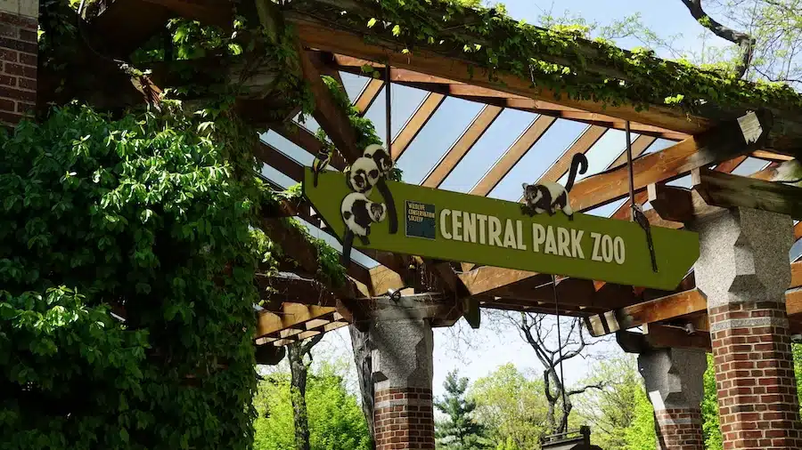 Lo zoo di Central Park, New York