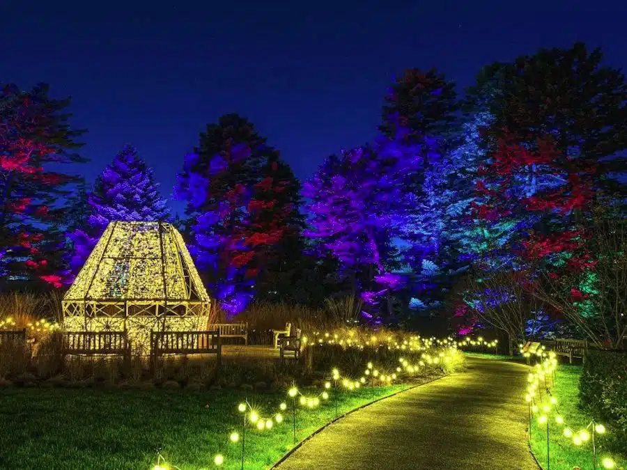 Lo spettacolo del NYGB Glow, al Giardino Botanico di New York