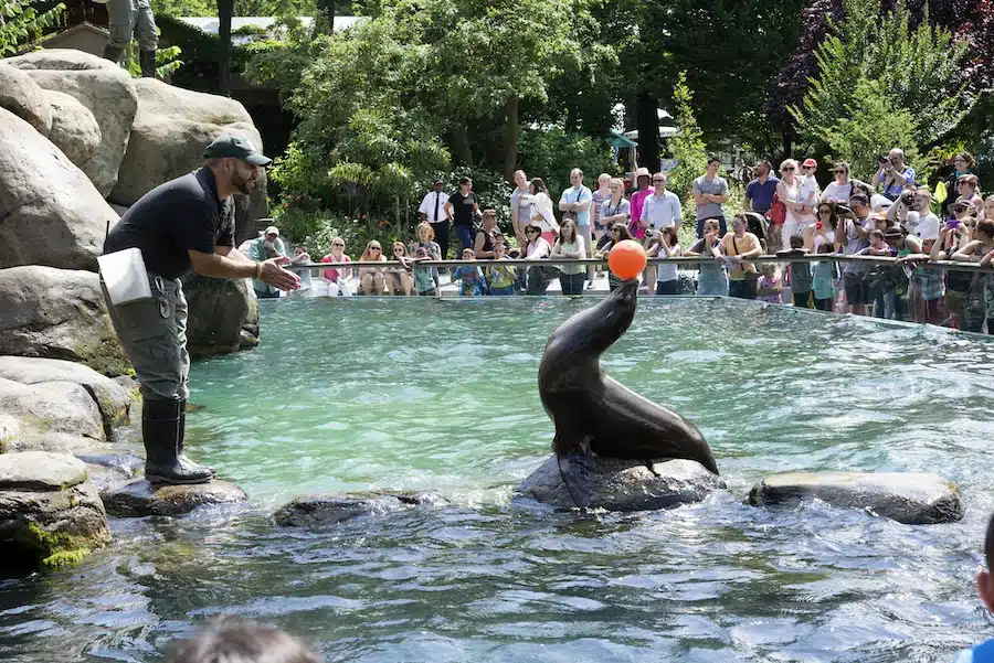 Gli animali da vedere allo zoo di Central Park