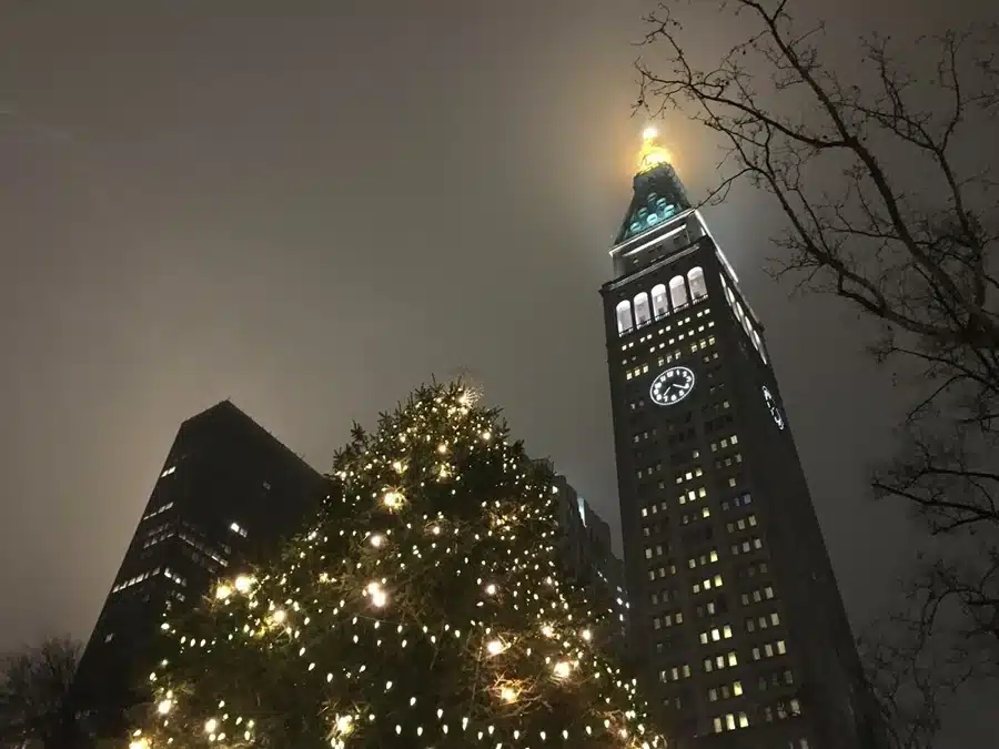 Albero di Natale al Madison Square Park, New York