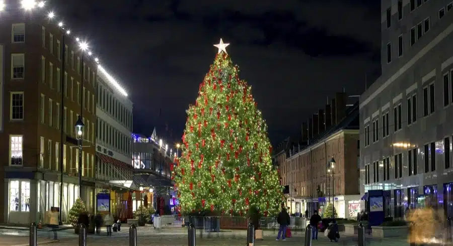 Albero di Natale al South Street Seaport, New York