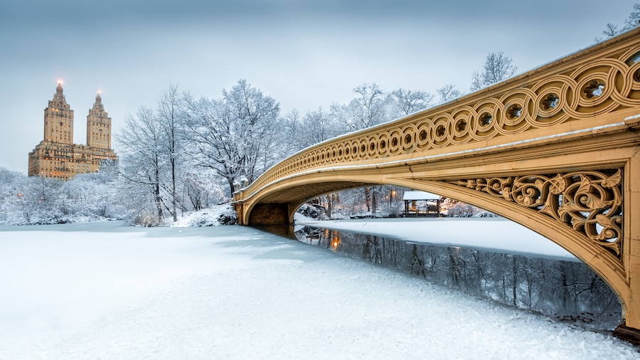Central Park con la neve è ancora più spettacolare