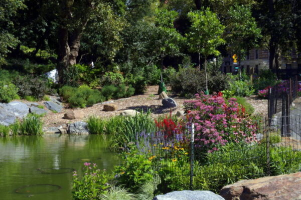 Morningside Park, tour di Harlem in italiano