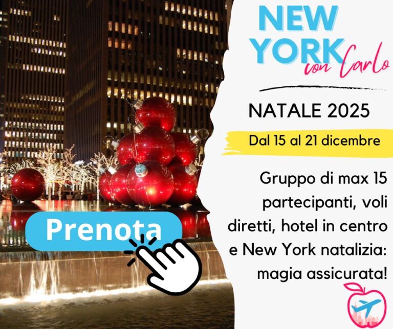 Viaggio organizzato New York a Natale con Carlo