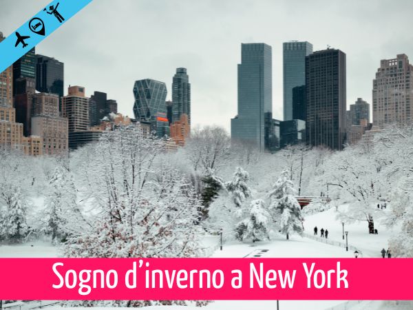Copertina viaggio sogno d'inverno a New York con Carlo